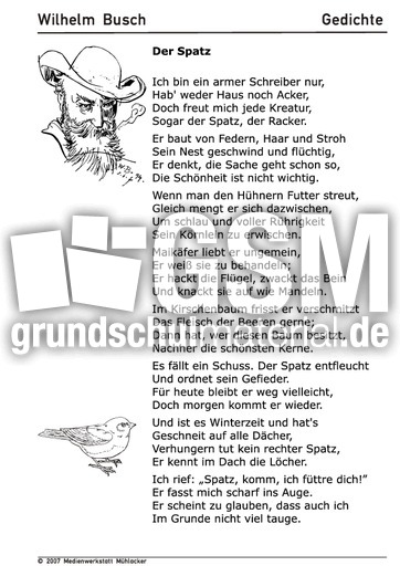 Der Spatz.pdf
